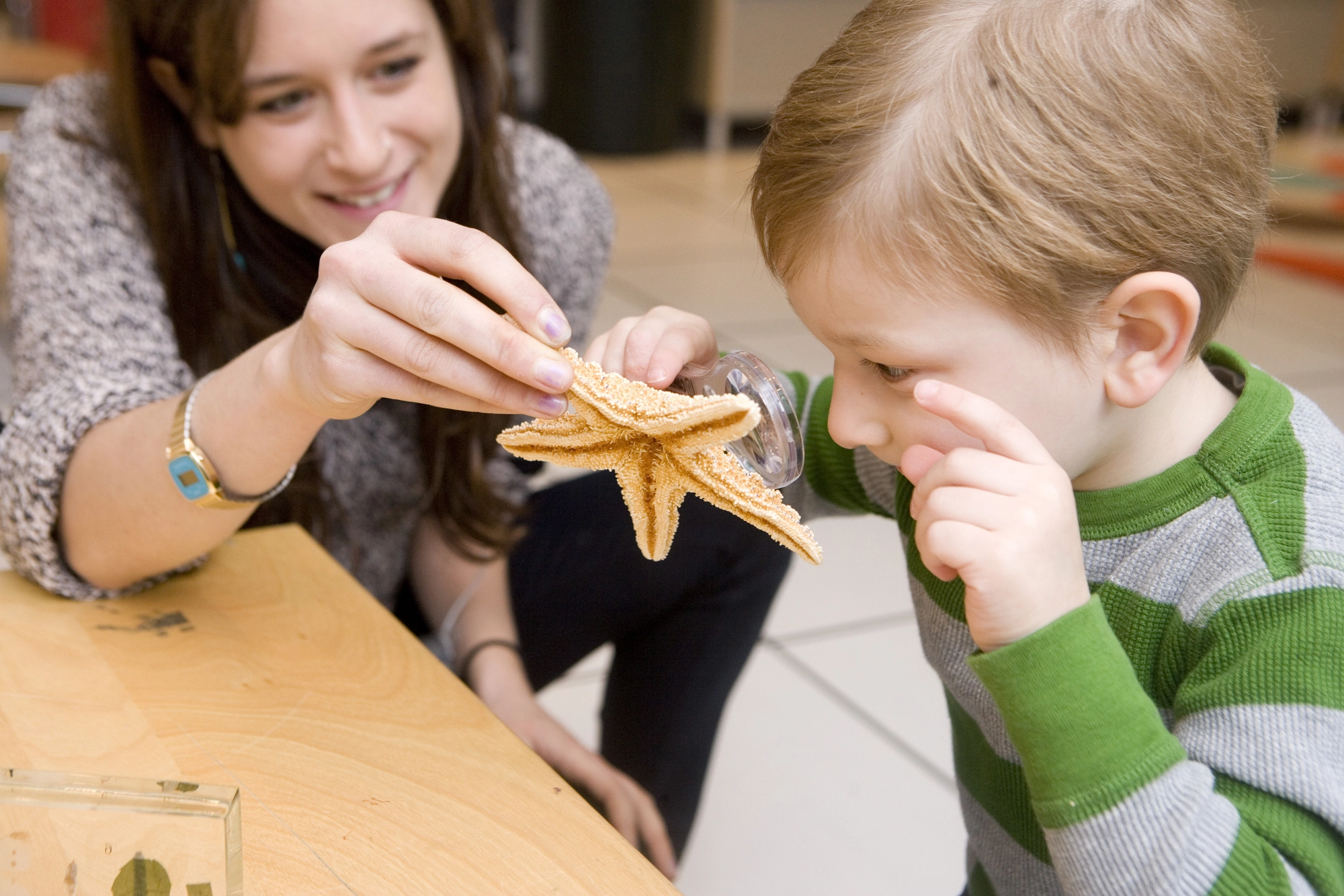 An adult holds a starfish up for a child to investigate with a magnifying glass. The adult is smiling at the child.