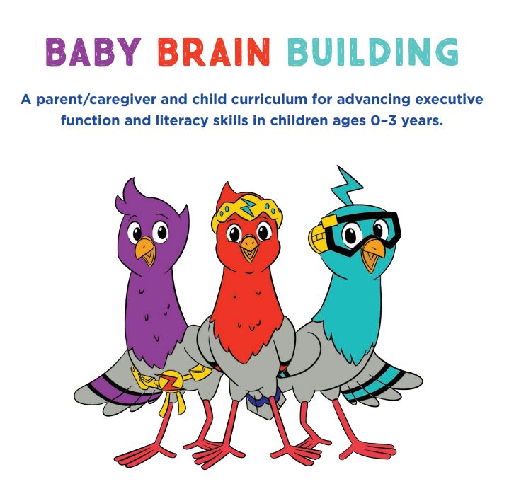 An illustration of three pigeons with text above it that reads: "Baby Brain Building. A parent/caregiver and child curriculum for advancing executive function and literacy skills in children ages 0–3 years."
